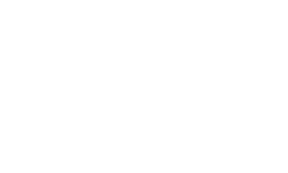 Tømrermester Allermann logo i hvid